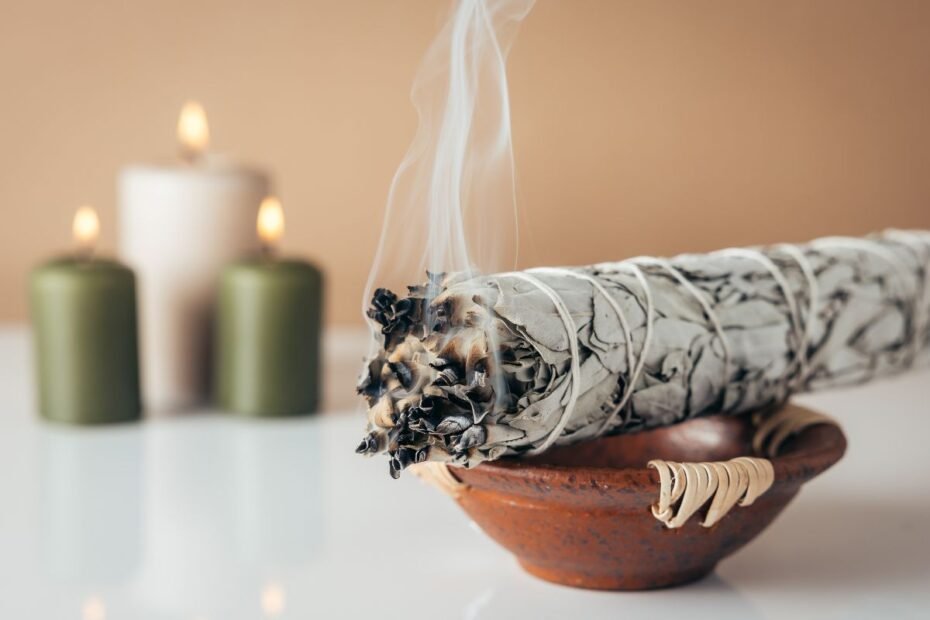 Šalavijas – žolė, kuri atveria intuiciją ir pritraukia sėkmę. Sužinokite paslaptis!