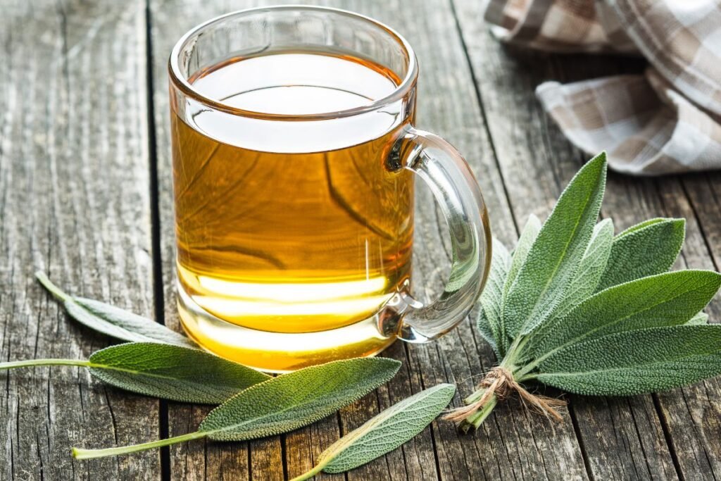 Virškinimas: nuo senųjų nuojautų iki šiuolaikinio supratimo