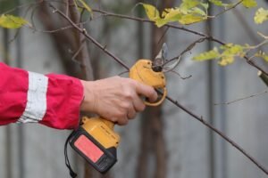 Akumuliatorinis sekatorius – technologija, keičianti sodininko darbą. Ar tai būtinas įrankis sode?