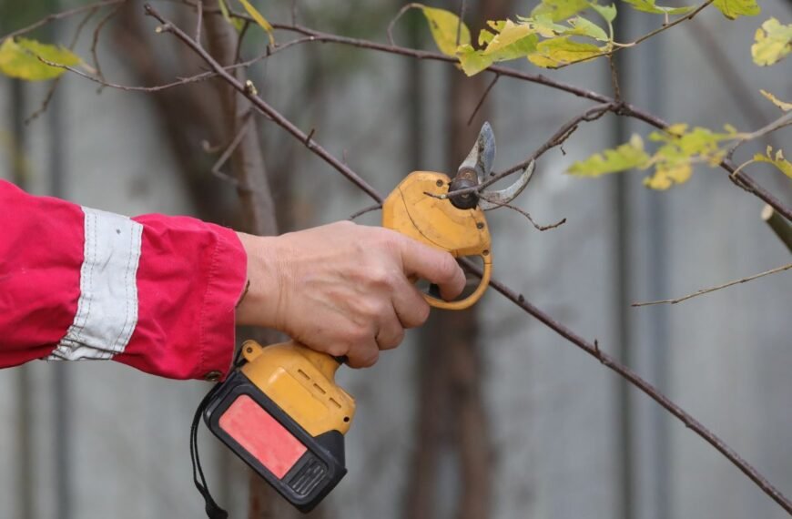 Akumuliatorinis sekatorius – technologija, keičianti sodininko darbą. Ar tai būtinas įrankis sode?