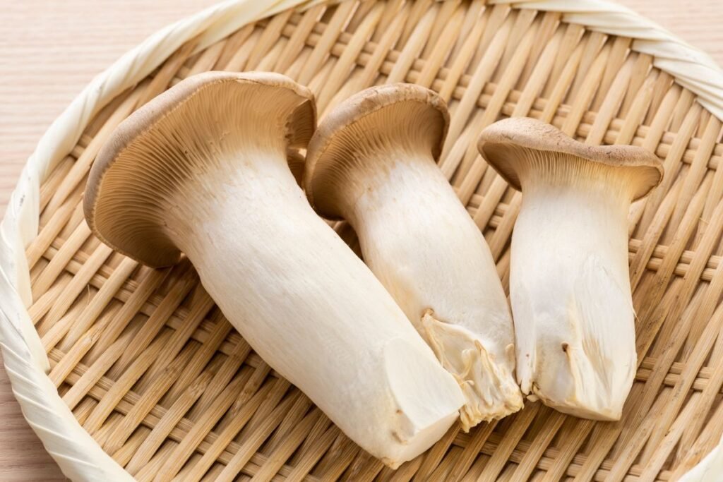 Eringi grybai 3 | Derlingas.lt Kas yra eringi grybai?