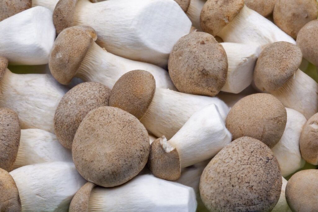 Eringi grybai 4 | Derlingas.lt Eringi grybai: ar yra kontraindikacijų?