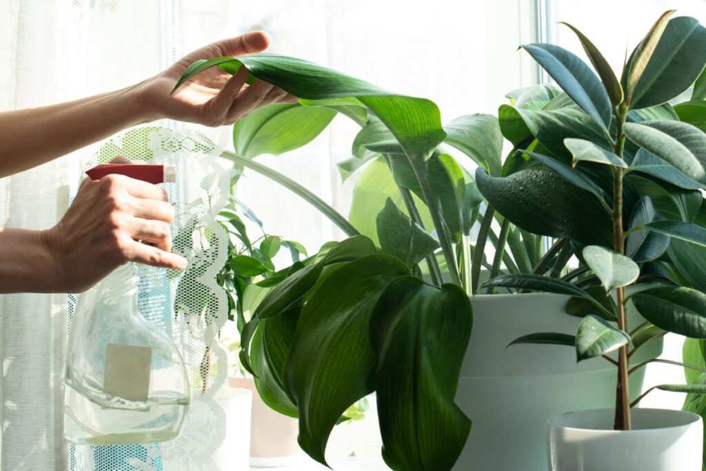 Drėgmės deficitas – nematoma žiemos problema