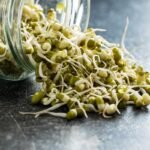 Mung pupelės - kuo vertingesnės už įprastas? Kaip jas daiginti bei panaudoti patiekaluose?