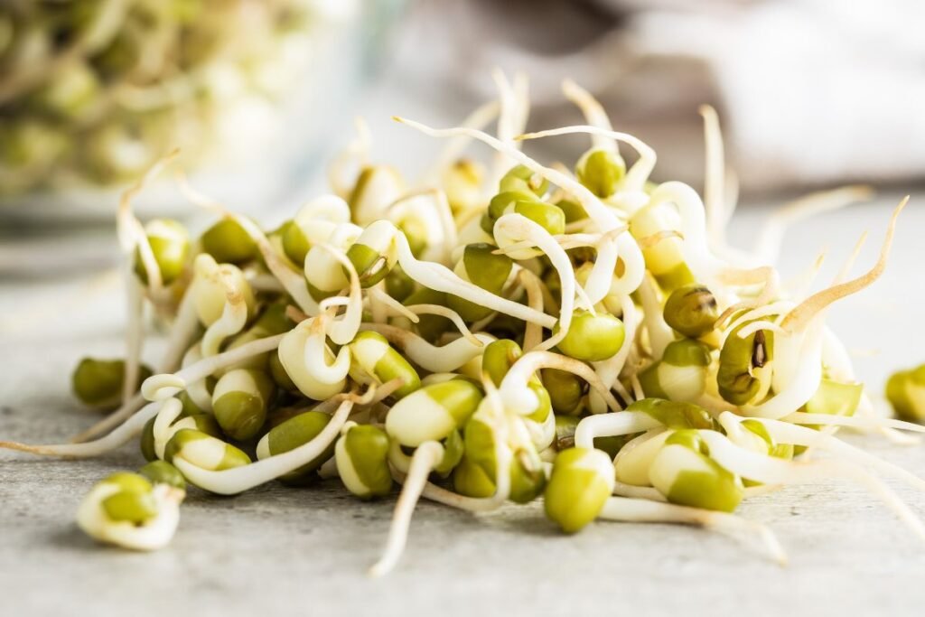 Daigintos mung pupelės - spindulinės pupuolės