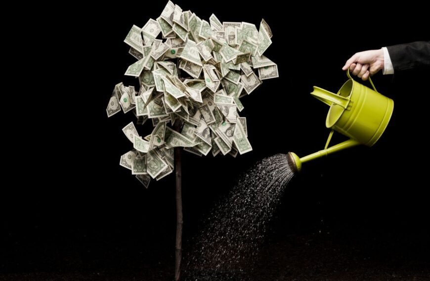 Pinigų medis: storalapis prieš klastotę. Kuris tikrasis ir kodėl verta skaičiuoti jo lapelius?