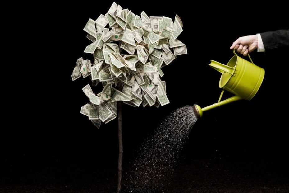 Pinigų medis 1 | Derlingas.lt Pinigų medis: storalapis prieš klastotę. Kuris tikrasis ir kodėl verta skaičiuoti jo lapelius?