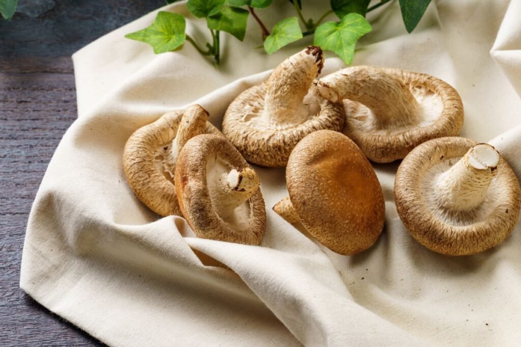 Šviežių šitake grybų paruošimas