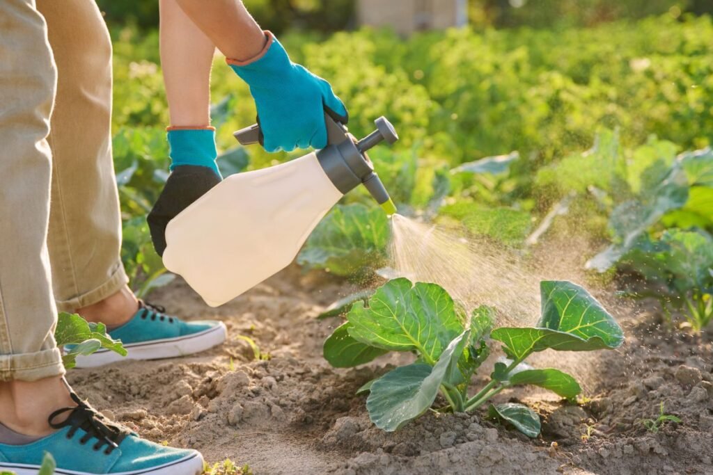 Ūkinis muilas 6 | Derlingas.lt Ūkinis muilas sode ir darže