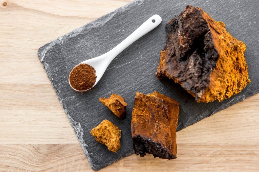 Juodasis beržo grybas: saugojimas