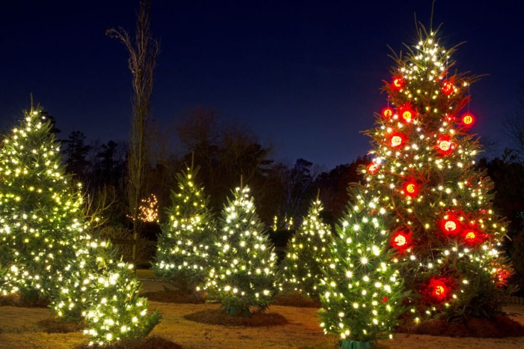 Eglučių parkas: Kalėdų miškas Vilniuje