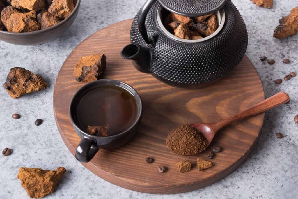 Juodojo beržo grybo nuoviras ir tinktūra