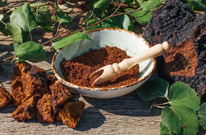 Juodasis beržo grybas: paruošimas ir tinkamas naudojimas. Populiariausi vartojimo būdai ir svarbūs patarimai