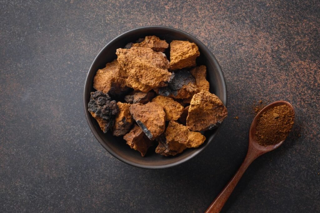 Juodasis beržo grybas: paruošimas naudojimui