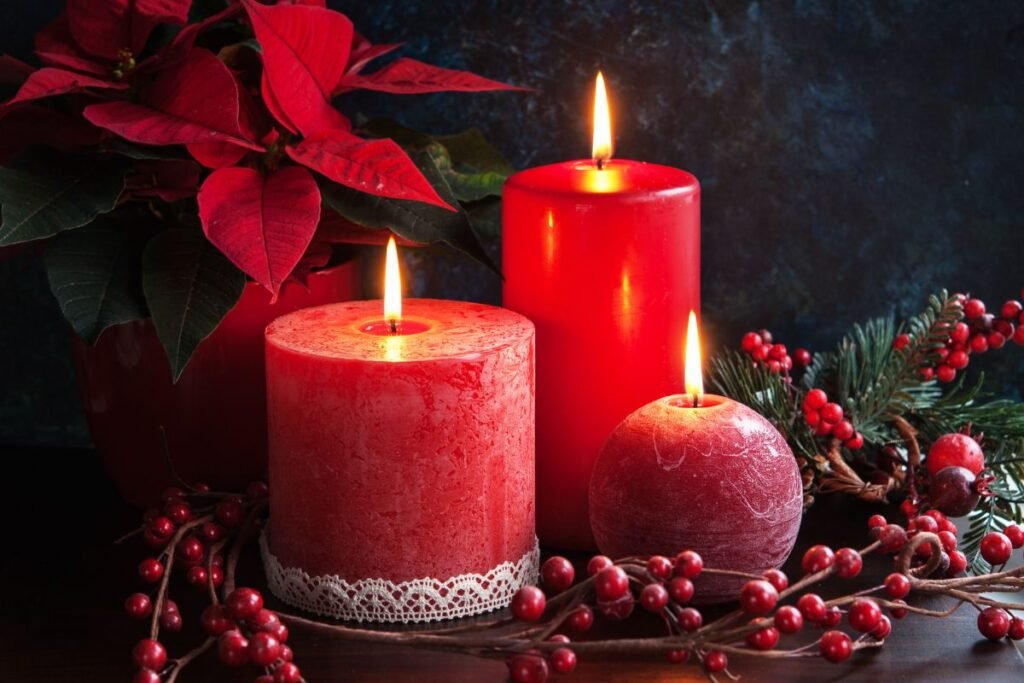 Augalai, kurie kuria Kalėdų dvasią