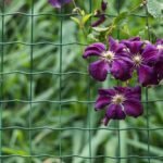 Kokie tvirtinimo elementai būtini norint aptverti sodo teritoriją?