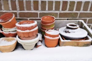 Terakotos vazonai