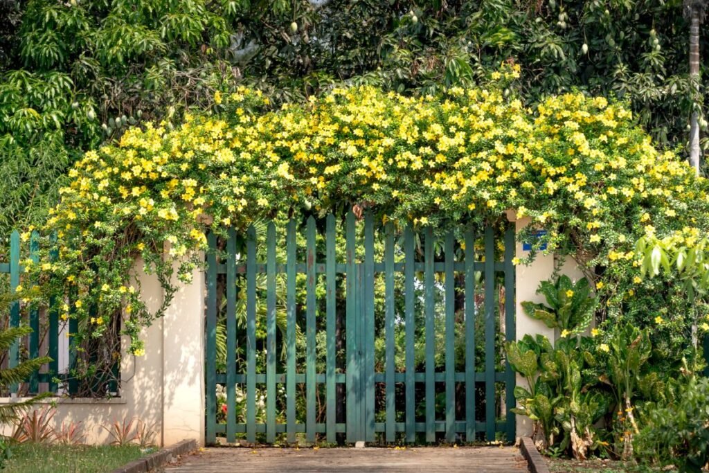 2026 m. sodininkystės tendencijos