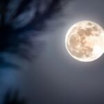 Kada pilnatis 2026 metais? Mėnulio pilnaties datos ir jų reikšmė sodui bei daržui