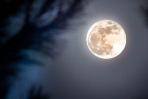 Kada pilnatis 2026 metais? Mėnulio pilnaties datos ir jų reikšmė sodui bei daržui