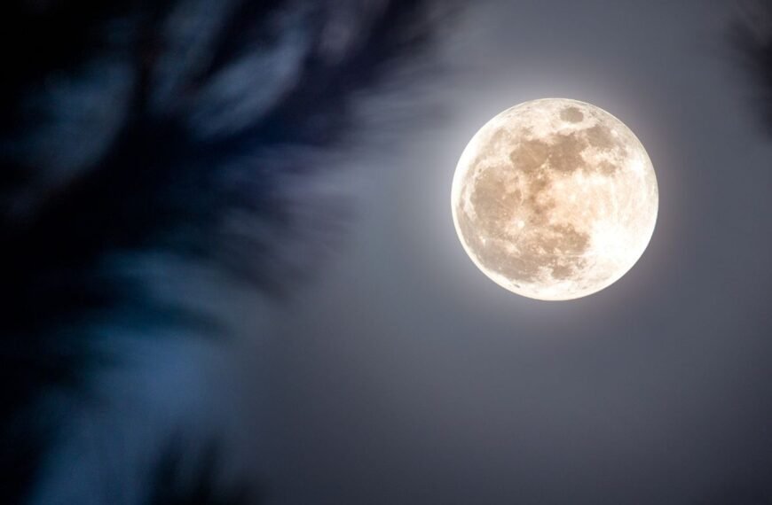 Kada pilnatis 2026 metais? Mėnulio pilnaties datos ir jų reikšmė sodui bei daržui