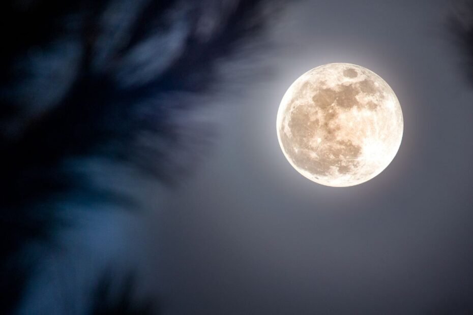 Kada pilnatis 2026 metais? Mėnulio pilnaties datos ir jų reikšmė sodui bei daržui