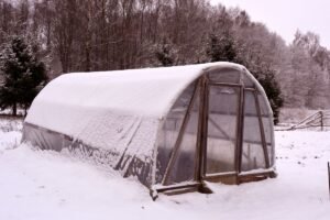 Kaip valyti sniegą nuo šiltnamio: kada sunerimti ir kaip tai saugiai atlikti?