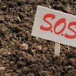 Molingas dirvožemis