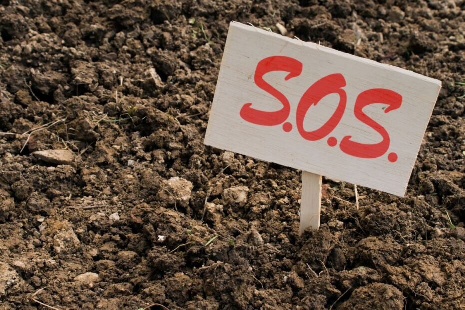 Molingas dirvožemis