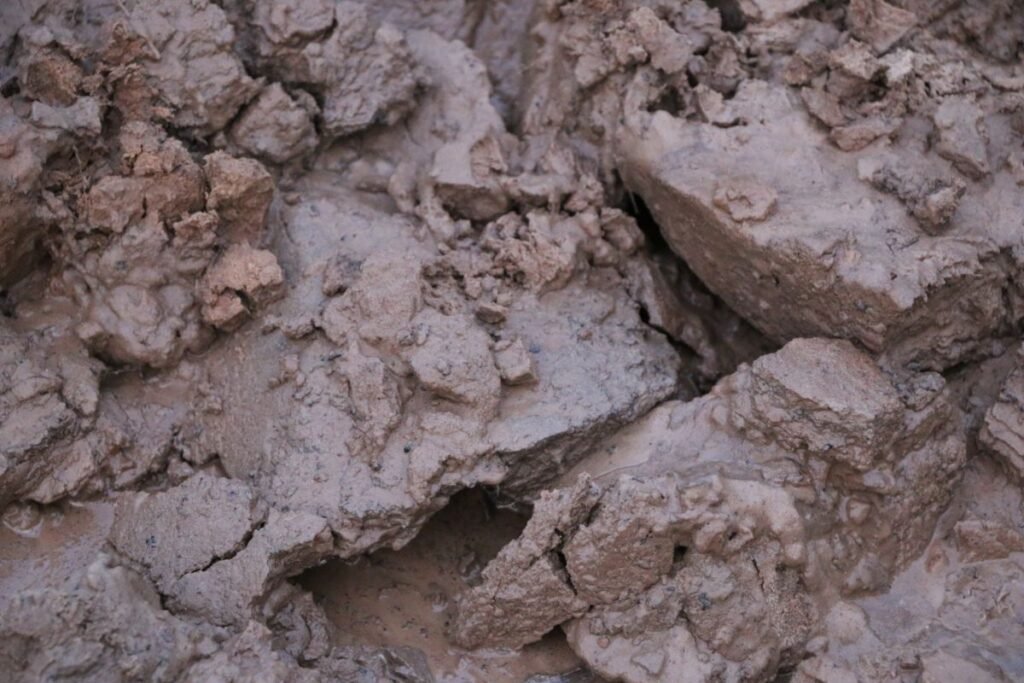 Molingas dirvožemis