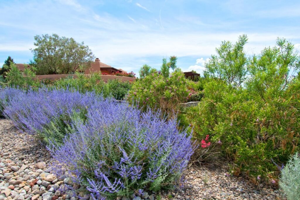 Melėsas: žaliavos rinkimas