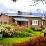 Namo statyba sode: kokių dalykų žmonės vėliau gailisi labiausiai?