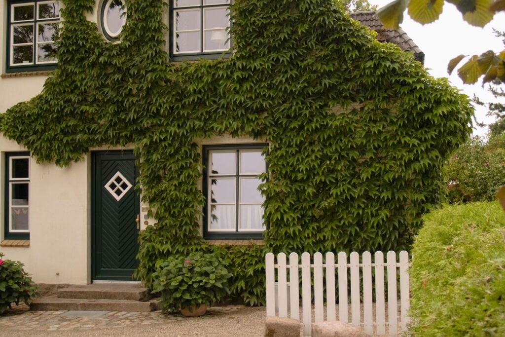 Namų apsauga be elektronikos: kiemo apželdinimas kaip gynybos įrankis