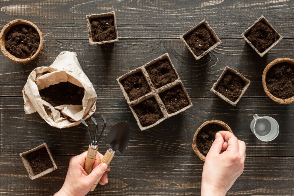 Ką visgi verta sėti jau dabar?