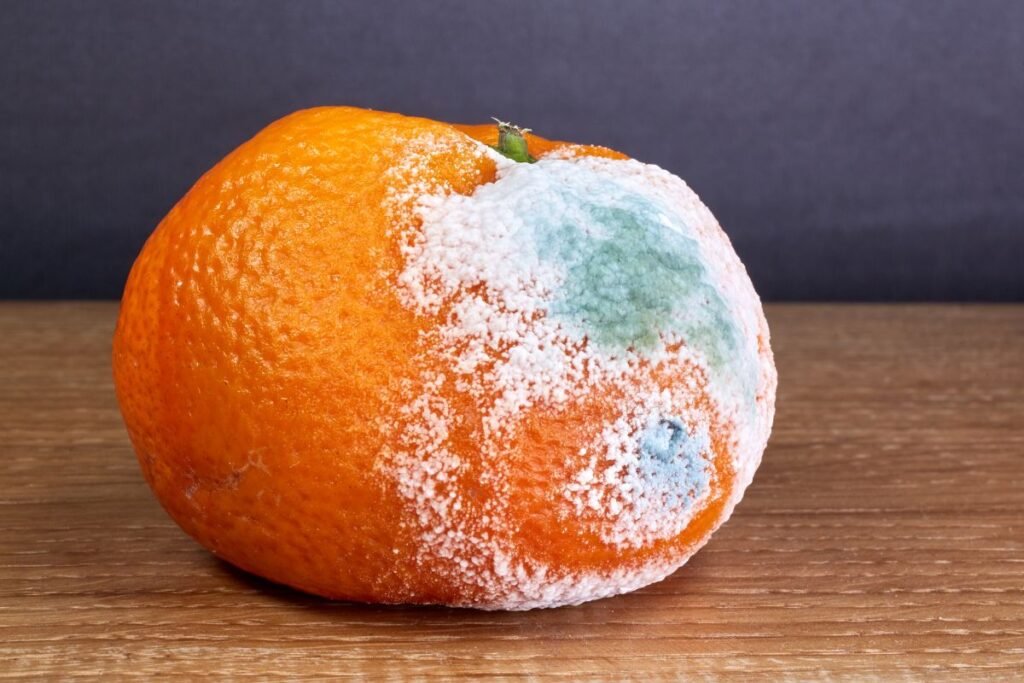 Kaip pelėsis užvaldo produktą (lentelė)