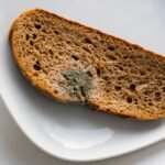 Pelėsis siekia giliau nei manėte: kodėl „išpjauti šoną“ yra pavojinga saviapgaulė?