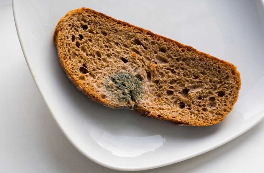 Pelėsis siekia giliau nei manėte: kodėl „išpjauti šoną“ yra pavojinga saviapgaulė?