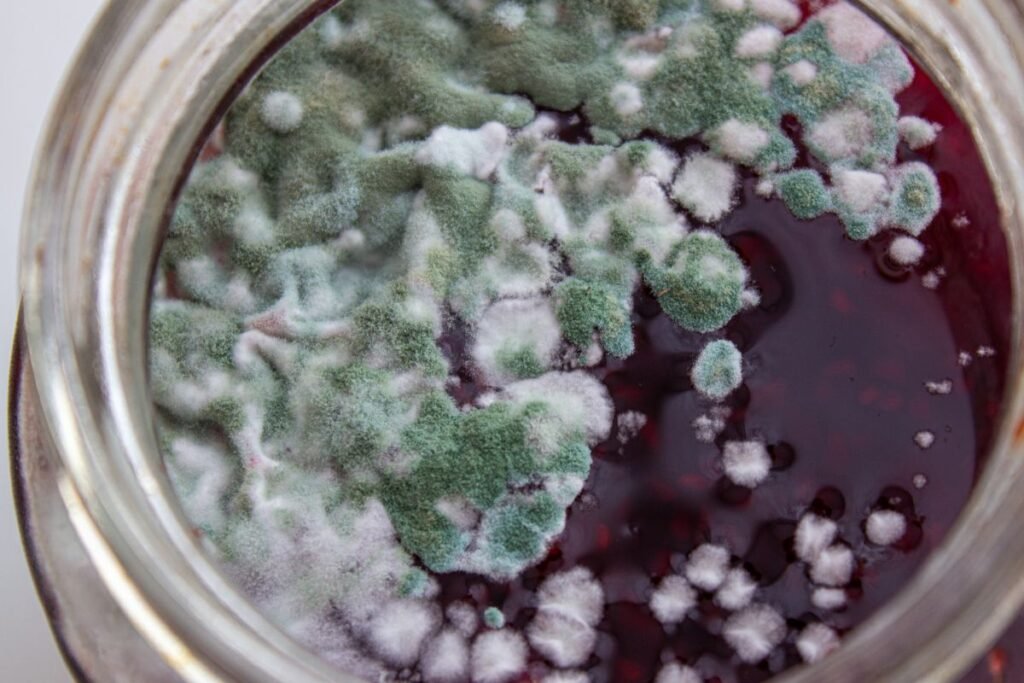 Kaip apsaugoti uogienę nuo pelėsio