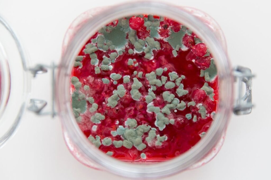 Kodėl susidaro pelėsis ant uogienės?