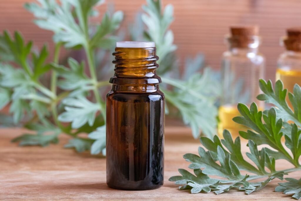 Pelyno hidrolatas ir kiti produktai