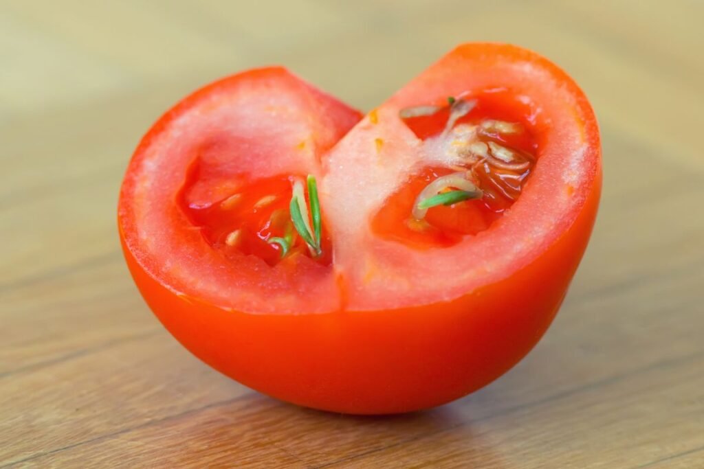 Pomidorų sėklos ir skonio molekulės