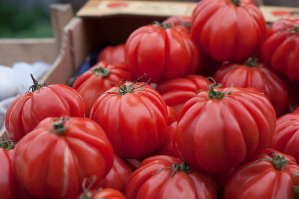 Pomidorų sėklos – skonio grąžinimo misija