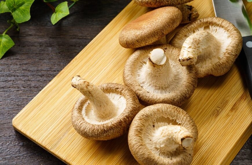 Šitake grybai receptai – azijietiški skoniai jūsų virtuvėje. 5 lengvai ir greitai paruošiami gardūs patiekalai