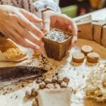 Sėklų stratifikacija nuo A iki Z: ką būtina padaryti jau dabar, kad pavasarį sėklos puikiai sudygtų?