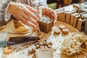 Sėklų stratifikacija nuo A iki Z: ką būtina padaryti jau dabar, kad pavasarį sėklos puikiai sudygtų?