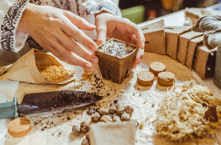 Sėklų stratifikacija nuo A iki Z: ką būtina padaryti jau dabar, kad pavasarį sėklos puikiai sudygtų?