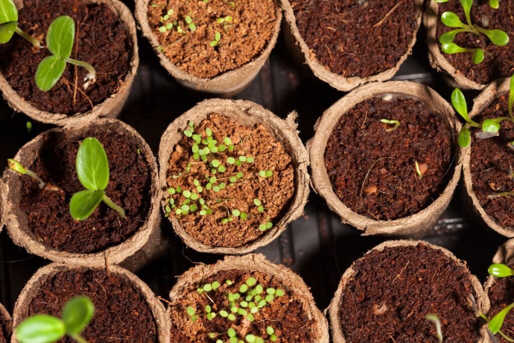 Patarimai sėkmingai stratifikacijai