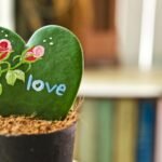 Valentino diena: 10 romantiškiausių augalų jūsų jausmams išreikšti. Gamta tikrai moka mylėti!