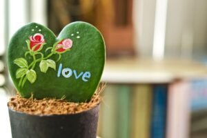 Valentino diena: 10 romantiškiausių augalų jūsų jausmams išreikšti. Gamta tikrai moka mylėti!