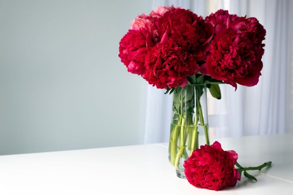 Bijūnas (Paeonia) laimingai ateičiai kartu...